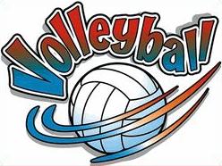 volleyball with net volleyball with net